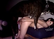 Dog Fucking Girl Zoo Porn - Porn Sex Photos